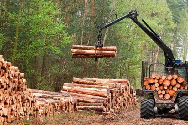 Forestal: Terminó el convenio entre trabajadores y la empresa Tapebicuá