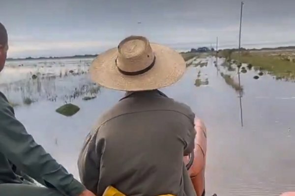 Argentina: Datos del INTA: casi 500 mm último registro semanal de agua caída en Corrientes
