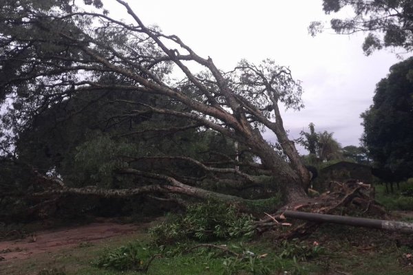 IMÁGENES: Desastre en Mburucuyá: un feroz temporal dejó a la localidad en ruinas y sin energía eléctrica (Imágenes)