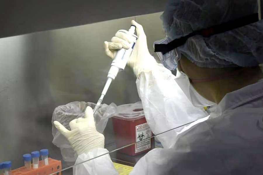 El análisis de las muestras sospechosas se hace en el Malbrán y esta semana confirmaron nuevos casos