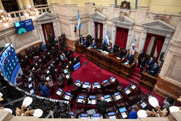 Reforma Laboral en Argentina: “En general estamos conforme con el proyecto” aseguró el senador por Corrientes Peteco Vischi