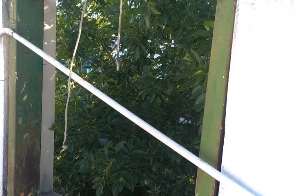 Argentina: Roban en Corrientes la campana de una iglesia que sonaba hace 25 años