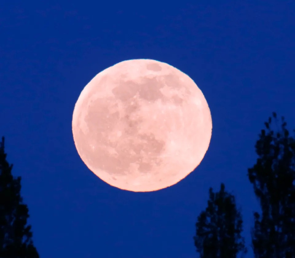 Foto de una super luna llena, tomada en Francia en 2022.Christophe Lehenaff/GETTY IMAGE
