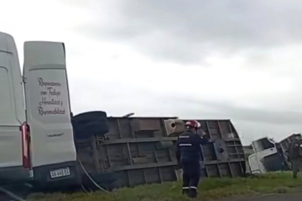 Camión con animales bovinos volcó por Ruta Nacional Nº12 San Roque Corrientes
