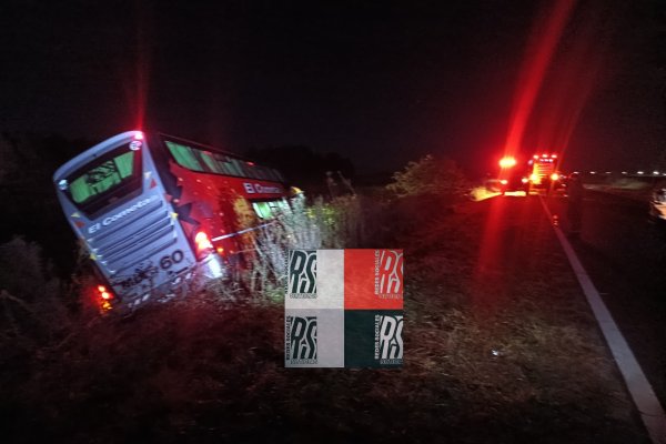 San Miguel: un micro de larga distancia terminó en la banquina  luego de atropellar un búfalo suelto en la RN 118