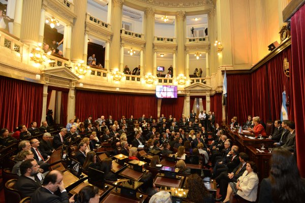 Los tres senadores por Corrientes aprobaron el pliego de Michelli