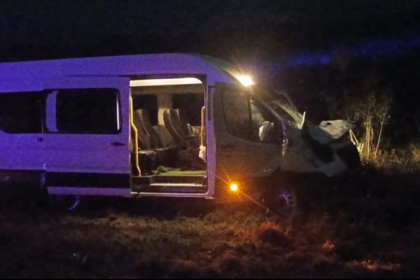 Una combi llevó por delante a dos caballos sueltos sobre Ruta12 Corrientes