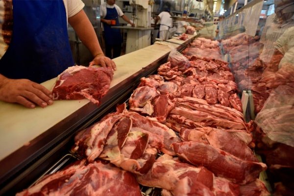 Alerta en carnicerías rurales de Corrientes: nuevas exigencias y más tributos que pagar