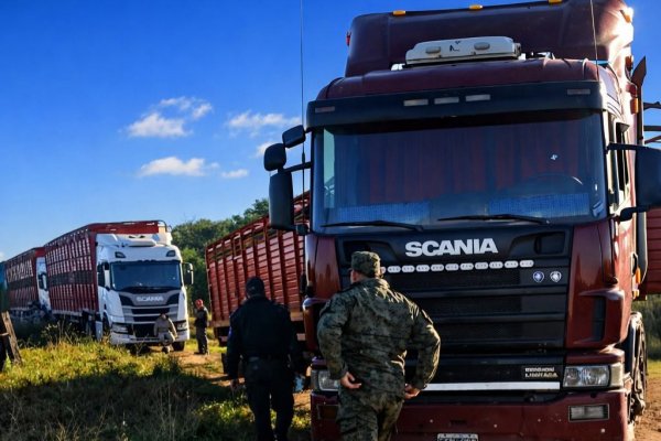 Recuperó la libertad la ganadera que fue arrestada por la Policía Rural en Corrientes