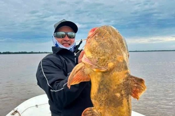 Alto pique en Esquina: pescaron un manguruyú tape de 20 kilos