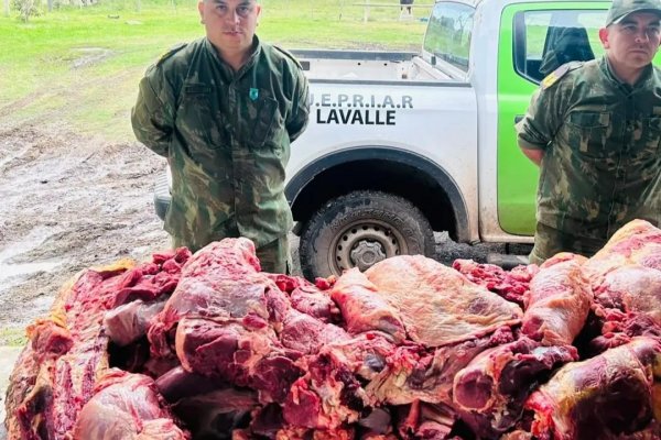 Secuestran de una carnicería más de 150 kilos de carne clandestina