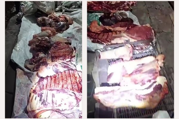 Cuatreros imparables en Mercedes. Secuestran una camioneta llena de carne