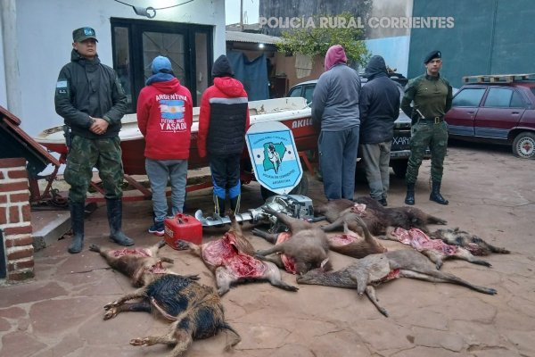 Hambre y delito: secuestran embarcación y animales silvestres faenados en clandestinidad