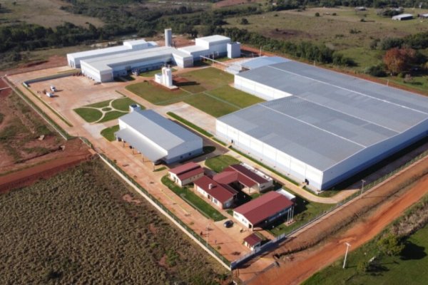 Etapa final de la puesta en marcha de una planta industrial maderera en Santo Tomé