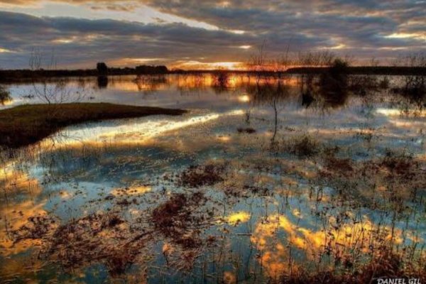 Prefectura Argentina alerta por la crecida extraordinaria del río Uruguay en Corrientes