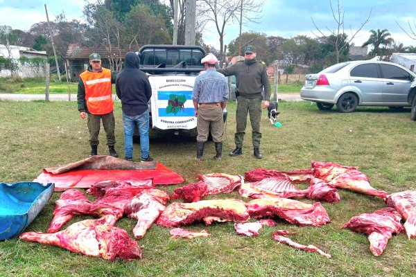 Cuatreros imparables: detuvieron a dos hombres con casi 500 kilos de carne faenada clandestina